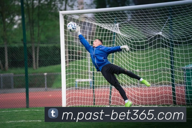 bet365全站App bet365全站App